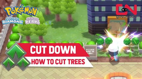 How can I cut trees in Pokemon ruby .